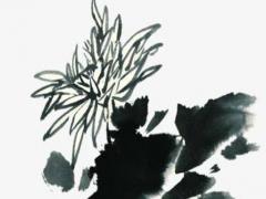 2023屬兔初幾出生最好命運(yùn),2023年屬兔幾月出生命最好