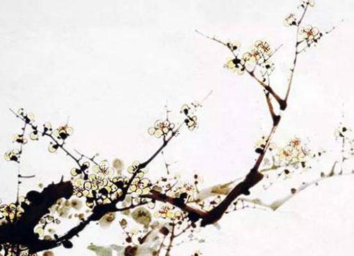 藍色在易經中代表什么意思 藍色是什么卦象