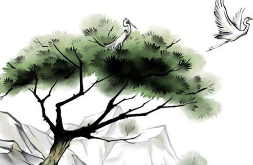 屬鼠人一生的婚姻與命運如何 屬鼠人的婚姻與命運十二生肖