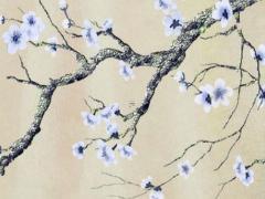 2023年生肖兔運勢詳情圖,2023年生肖兔運勢大全