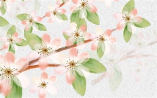算命先生說命帶雙重桃花什么意思 雙重桃花運是什么意思