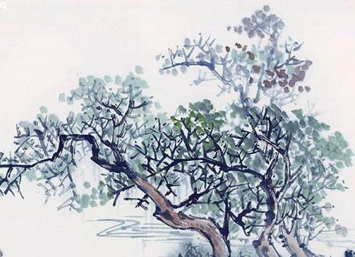 客廳養什么花最吉利也招財 客廳養什么花和植物旺風水