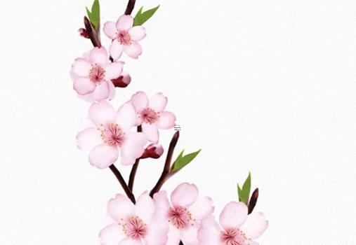算命免費最準的合婚姻 算命婚姻免費算命大全