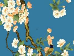 本命年兔送什么好運(yùn)氣好的飾品,本命年屬兔要注意什么