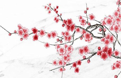 屬龍的八字是什么生肖 屬龍生辰八字自查表
