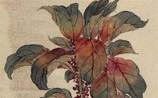 牛年屬羊人應佩戴什么 牛年屬羊的人佩戴什么