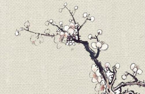 屬兔五行缺水有哪些字，屬兔五行缺啥