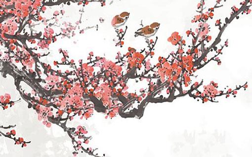 生辰八字生克關(guān)系 八字生克關(guān)系的應(yīng)用