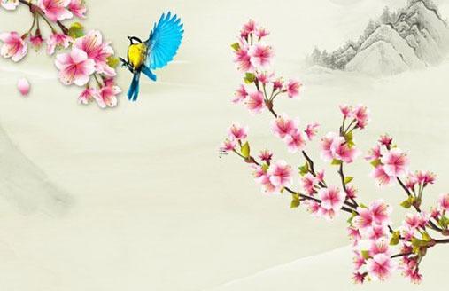 本命年87年火兔運(yùn)勢(shì)如何,87年本命年要注意些什么
