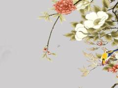 屬雞人命運如何 屬雞的人命運不好嗎