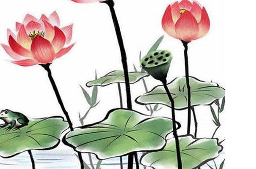 屬虎的財運貴人 屬相虎的貴人運