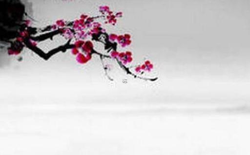 屬羊的是哪些年份出生的 屬羊的是哪些年出生的呢? 屬羊的是哪些年份出生的 屬羊的是哪些年出生的呢?