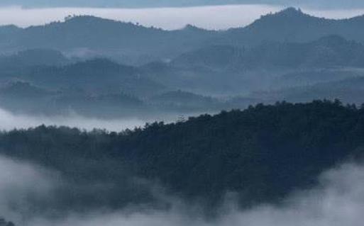 屬兔本命年可以帶狗么嗎,屬兔的本命年可以穿紅色嗎 屬兔本命年可以帶狗么嗎,屬兔的本命年可以穿紅色嗎