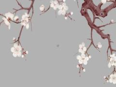 本命年給公婆買什么,公公婆婆本命年禮物