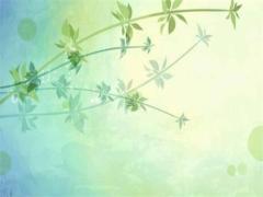 本命年送男朋友的禮物,本命年送男朋友禮物改送什么