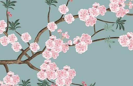 屬兔本命年養(yǎng)兔子好嗎,屬兔子的人養(yǎng)兔子