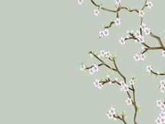 屬兔本命年戴彌勒佛好嗎女生,屬兔本命佛的佩戴禁忌